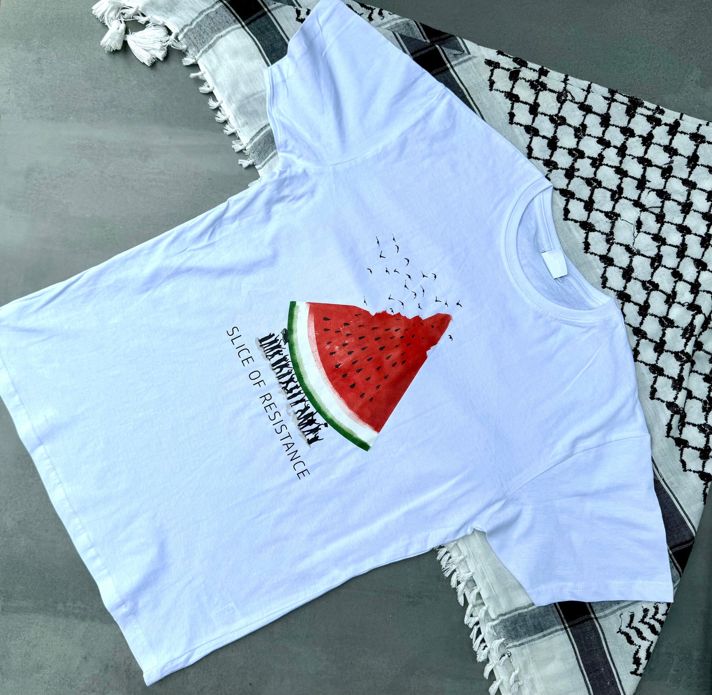 T SHIRT ANGURIA E RONDINI